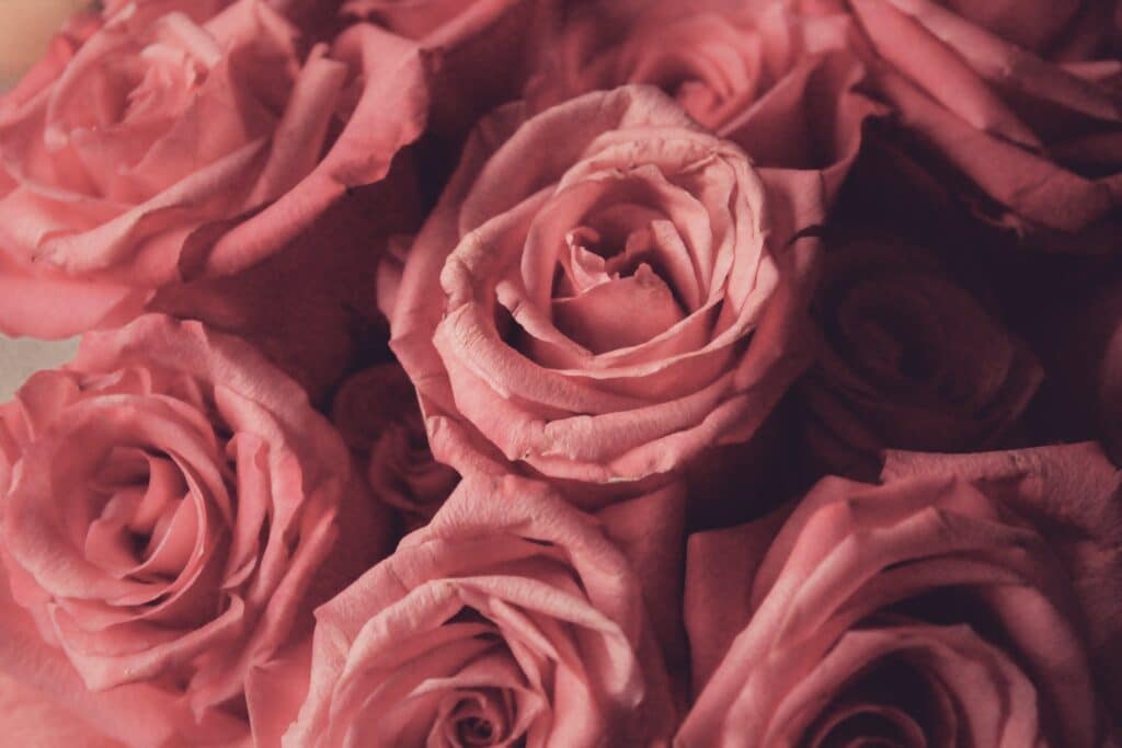 bible verses for valentine’s day